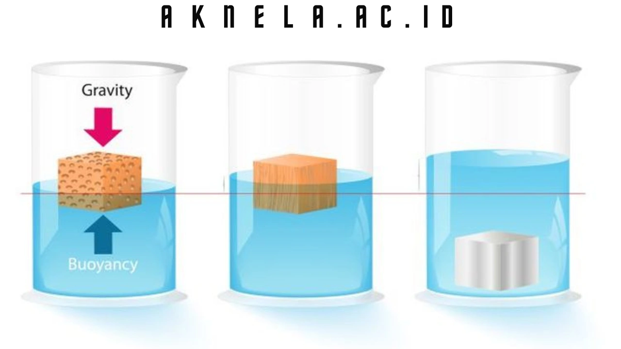 Begini 5 Contoh Penerapan Hukum Archimedes dan Ulasannya!